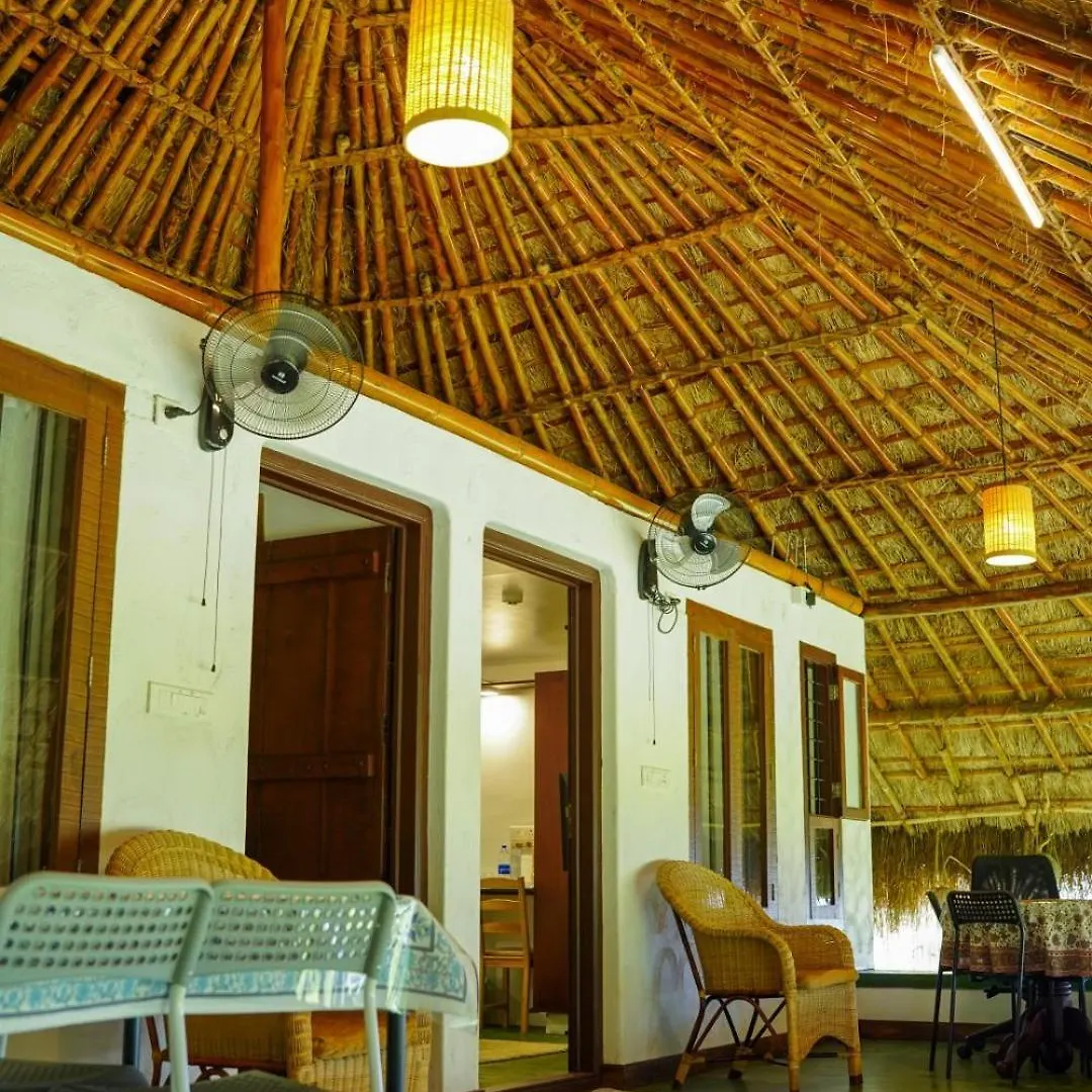 Bed & Breakfast Bed and Breakfast Bamboo Grove Mananthavady