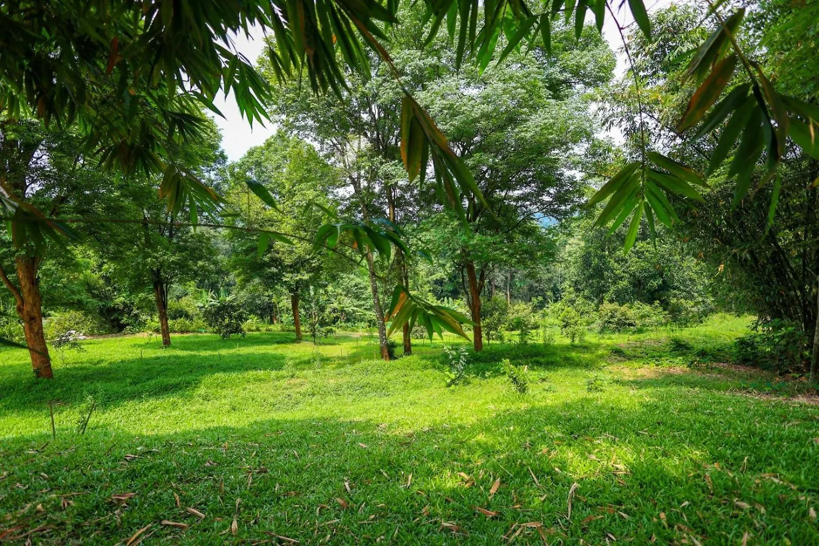 Bed and Breakfast Bamboo Grove Mananthavady 0*,  India