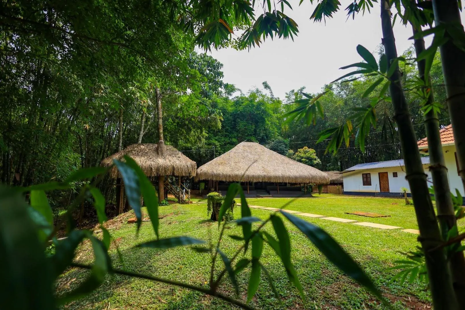 Bed and Breakfast Bamboo Grove Mananthavady Bed & Breakfast
