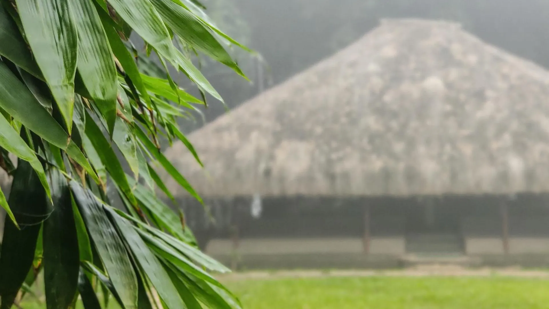 玛纳多迪Bamboo Grove住宿加早餐旅馆