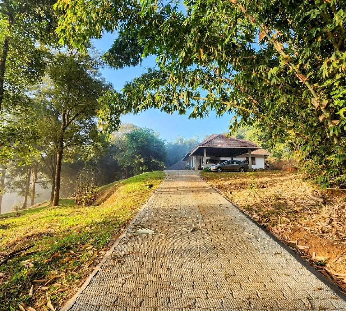 玛纳多迪Bamboo Grove住宿加早餐旅馆 0*, 玛纳多迪